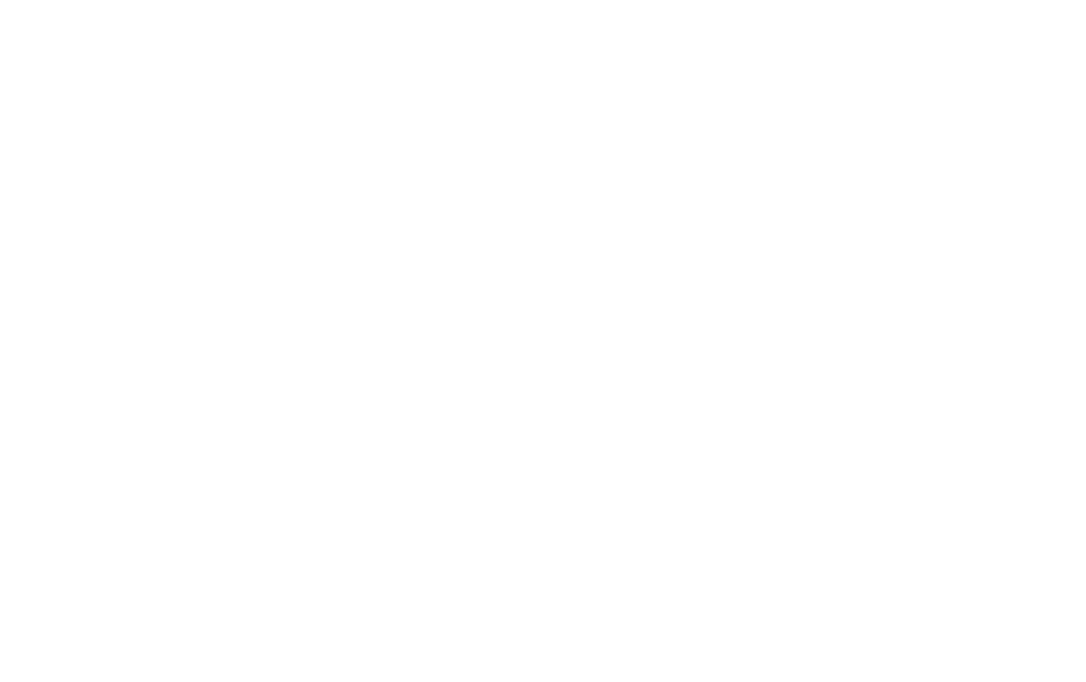 Monica Diaz Logo Footer